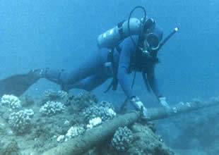Kuzey Akım sabotajıyla ilgili bir Ukraynalı yakalandı