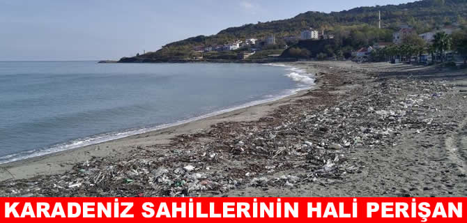 Karadeniz'de plajların yüzde 90'ı kirli çıktı