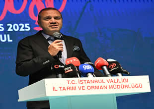 4.5 aylık hasret bitti: Balıkçılık av sezonu açıldı