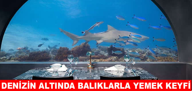 Denizin altında deniz canlılarıyla başbaşa yemek keyfi