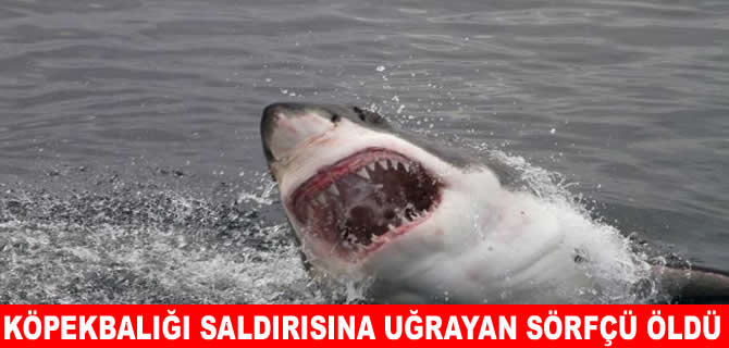 Avustralya'da köpek balığı saldırısı: Sahiller kapatıldı