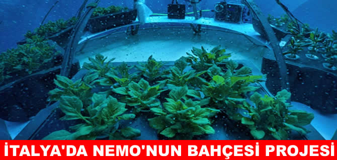 Sualtı tarımı ile geleceğin gıda güvenliği hedefleniyor