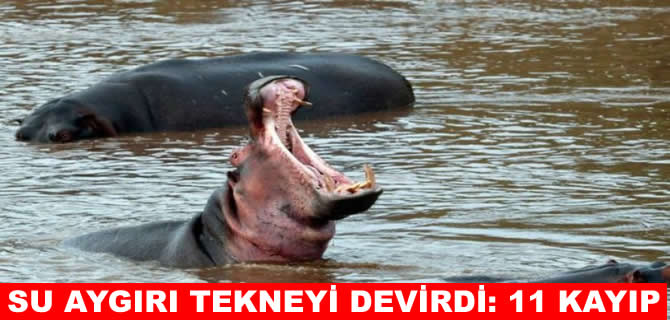 Fildişi Sahili’nde su aygırı faciası: 11 kişi kayıp