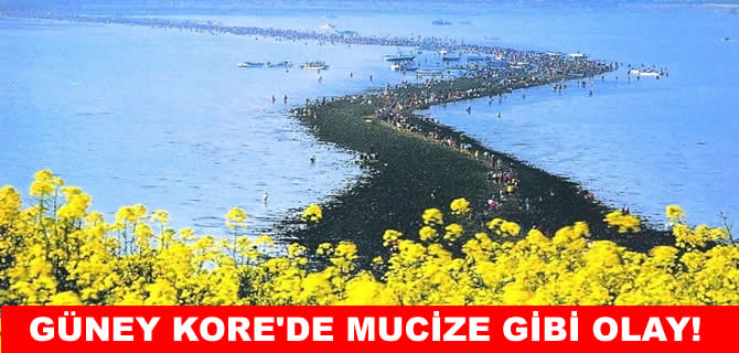 Güney Kore’nin yılda iki kez açılan deniz yarığı!