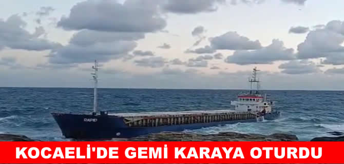 Kocaeli’de kargo gemisi karaya oturdu