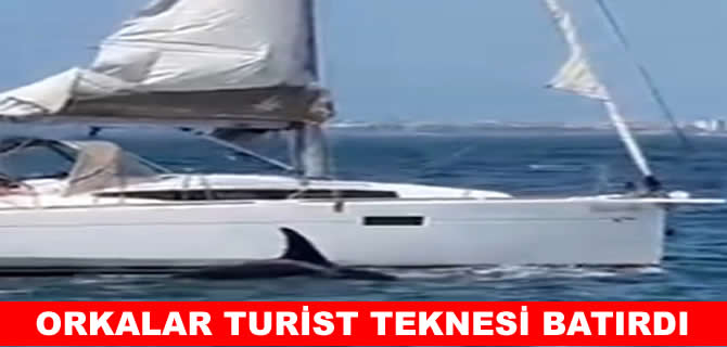 Orkalar tekne batırdı, 5 kişi son anda kurtarıldı