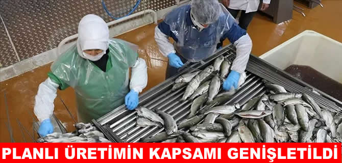 Su ürünlerinde planlı üretimin kapsamı genişletildi