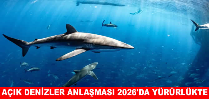 Açık denizler ilk kez uluslararası hukukla korunacak