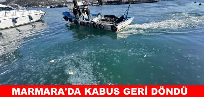 Marmara’da müsilaj ve denizanası alarmı!
