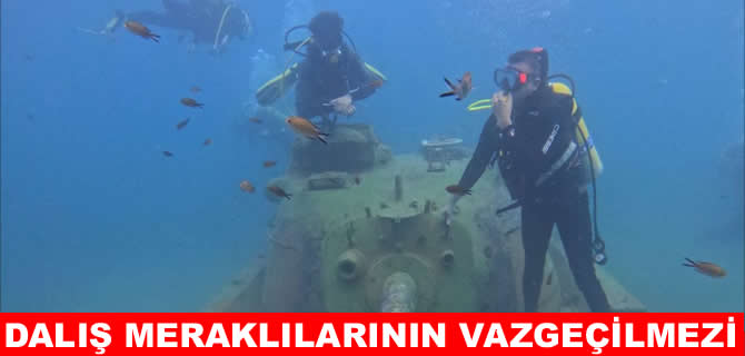 İbrice Limanı dalış turizminin gözdesi oluyor