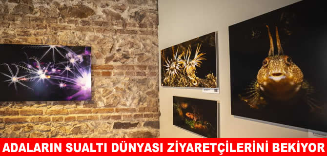 İstanbul’un Dokuz Canı" su altı fotoğraf sergisi açıldı