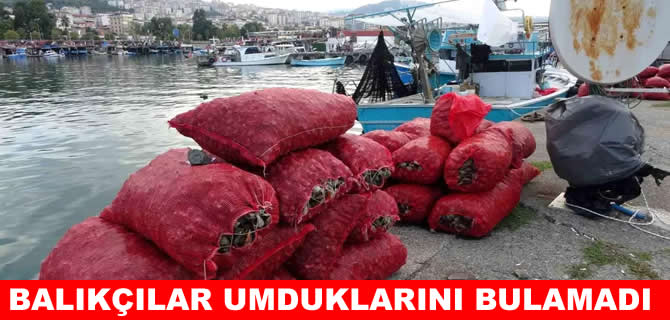 Deniz salyangozu balıkçıları hüsrana uğrattı