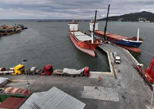 Kdz. Ereğli Belediye Limanı harıl harıl çalışıyor
