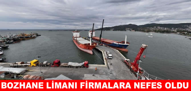 Kdz. Ereğli Belediye Limanı harıl harıl çalışıyor