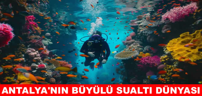 Antalya’nın sualtı cenneti: batıklar: Mavi dünyanın gizemi
