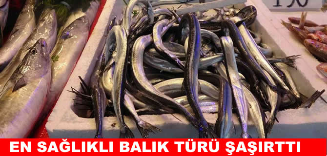 Karadeniz’in en sağlıklı balık türü şaşırttı