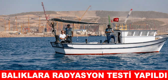 Akkuyu’da uluslararası balık yarışmasında radyasyon testi yapıldı