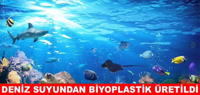 Çinli araştırmacılar deniz suyundan biyoplastik üretti
