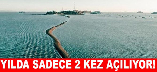 Yılda sadece 2 kez açılıyor!