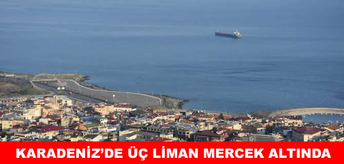Doğu Karadeniz'in üç limanında metal kirliliği mercek altında