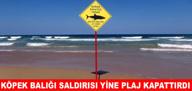 Köpek balığı saldırısı: Plajlar kapandı
