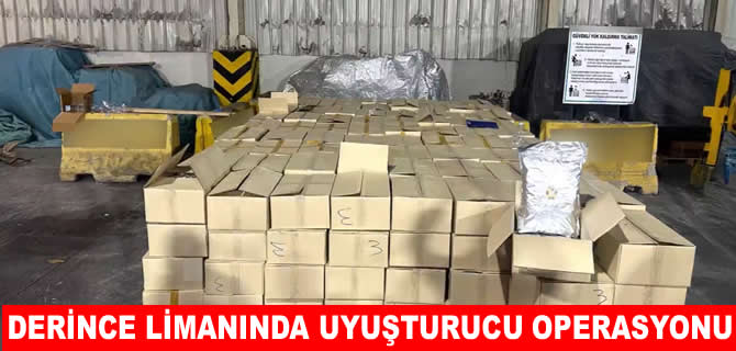 Derince Limanı'nda 1,5 ton uyuşturucu yakalandı
