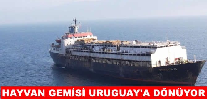 Spiridon II canlı hayvan gemisi rotasını yeniden Uruguay’a çevirdi