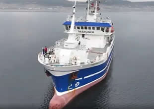 Norse VESTLINERİ yenileme çalşmalarına başlıyor