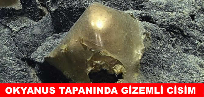 Okyanusun dibinde altın rengi gizemli cisim!