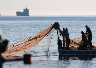 Balıkçılık sektörü zor günler geçiriyor