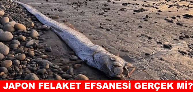 Kıyamet balığı sahile vurdu: Uzmanlar harekete geçti!