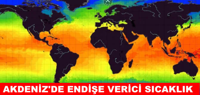 Akdeniz resmen fokurduyor, tehlike sinyalleri veriyor