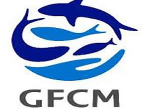 Türkiye, GFCM başkanlık görevine getirildi