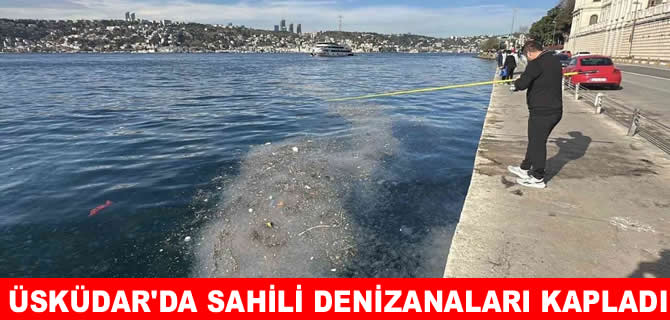 Üsküdar sahili denizanalarıyla kaplandı