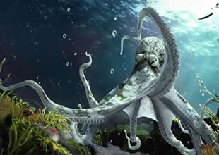 Gizemli ahtapot 40 yıl sonra yeniden görüntülendi