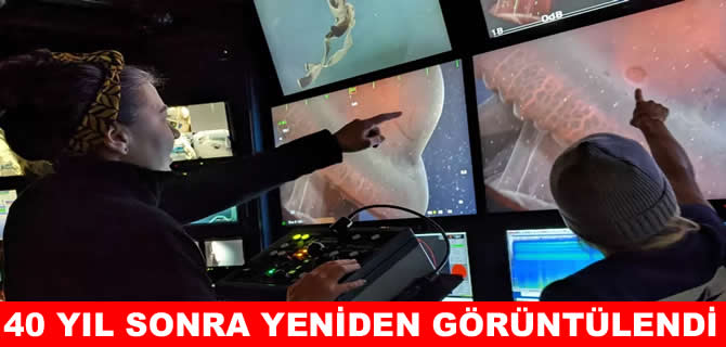 Gizemli ahtapot 40 yıl sonra yeniden görüntülendi