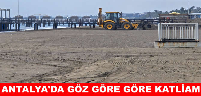 Antalyta’da caretta yuvası kumullar iş makineleriyle ezildi