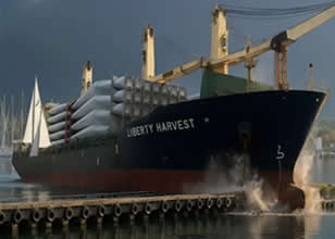 Marmaris'te dev kargo gemisi iskeleye çarptı!