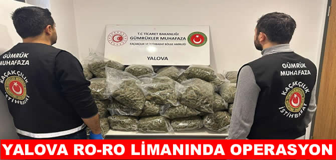 Yalova Ro-Ro Limanı’nda uyuşturucu operasyonu: 5 gözaltı