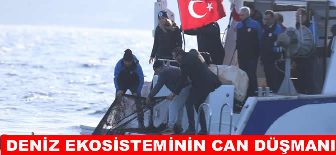 Denizden 2,9 milyon metrekare hayalet ağ çıkarıldı