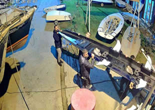 Derince’de kaçak deniz küreği operasyonu