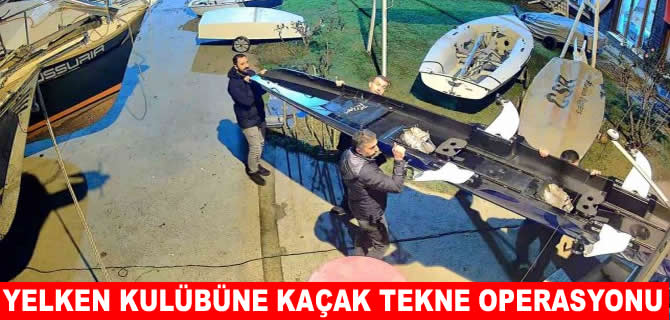 Derince’de kaçak deniz küreği operasyonu