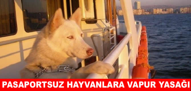 Pasaportsuz evcil hayvanlara vapur yasağı geldi