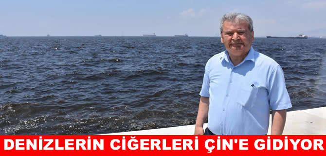 İzmir körfezinin doğal temizleyicisini Çin topluyor!