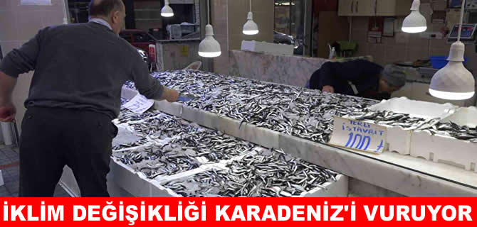 Hamsi yemek hayal olacak!