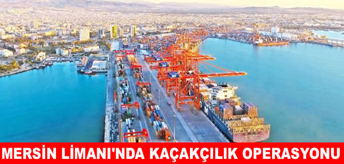 Mersin Limanı’nda kaçakçılık operasyonu: 5 şirkete el konuldu