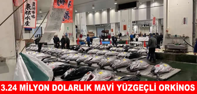 Tokyo’da mavi yüzgeçli orkinos 3,24 milyon dolara satıldı