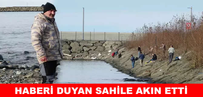 Karadeniz’de kafes patladı: Sahil bir anda doldu