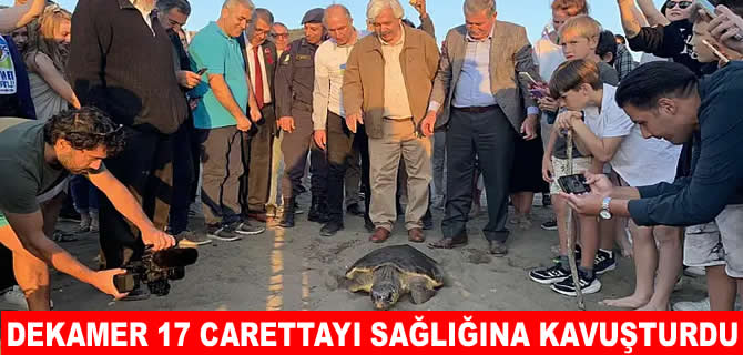 DEKAMER 2025’te 17 deniz kaplumbağasını denizle buluşturdu