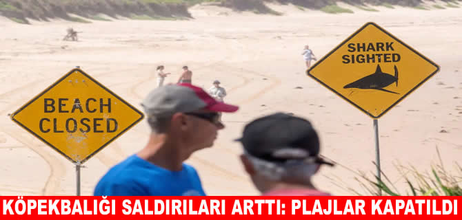 Plajlar kapatıldı: 2 günde 4 köpekbalığı saldırısı